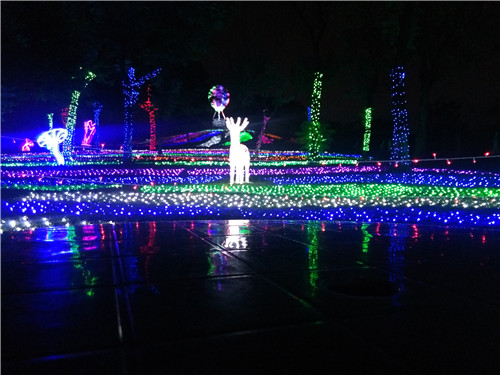 松湖生态园 松湖生态园